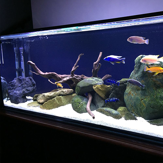 สีที่กําหนดเอง 12 มิลลิเมตร แผ่นอะคริลิค Aquarium กระดาษ Pmma