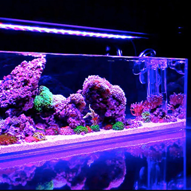 สีที่กําหนดเอง 12 มิลลิเมตร แผ่นอะคริลิค Aquarium กระดาษ Pmma