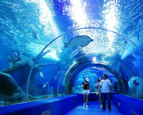 Heavy Duty Thick Cast Acrylic Sheet Large Transparent Panel for Aquarium  Oceanarium Tunnel Underwater Viewing Windows